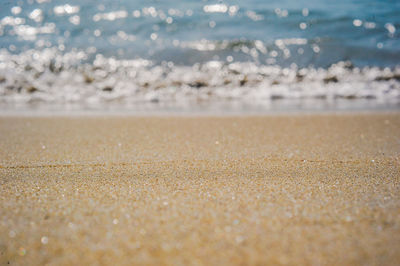 Surface level of sandy beach