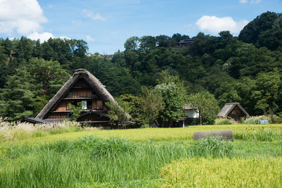House amidst trees and plants on field against sky