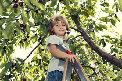 Low angle portrait of boy standing on ladder by tree