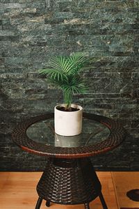 Close-up of potted plant on table against wall