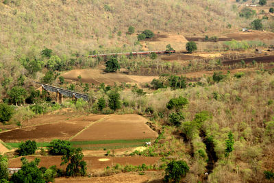 High angle view of road amidst field