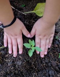 Low section of child by plant on growing on land