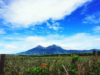 Scenic view of landscape against sky