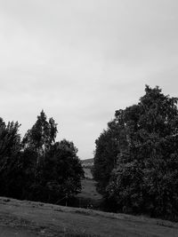 Trees on field against sky