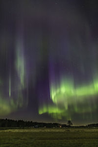 Scenic view of star field against sky at night