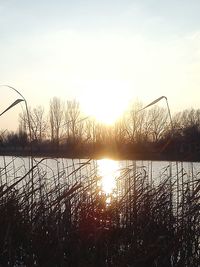 Scenic view of calm lake at sunset