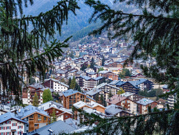 High angle view of townscape and trees in city