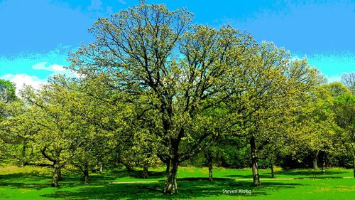 Scenic view of grassy field against sky