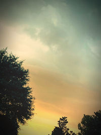 Low angle view of silhouette trees against sky during sunset