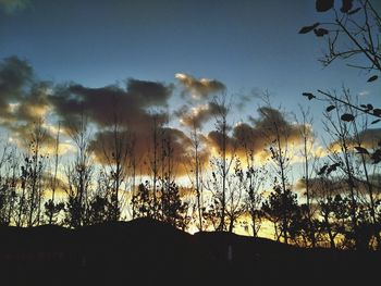 Silhouette trees in forest against sky