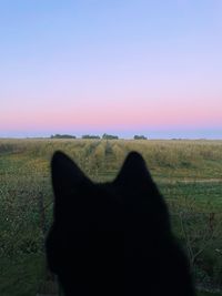 Black dog on field against clear sky