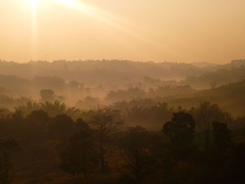 Trees on landscape against sky during sunset