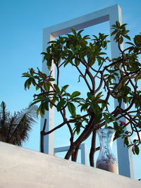 Low angle view of palm trees against blue sky