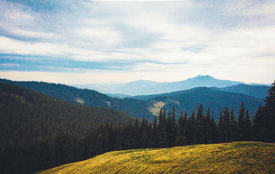 Scenic view of landscape against sky