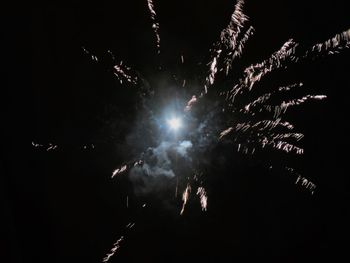 Low angle view of firework display at night