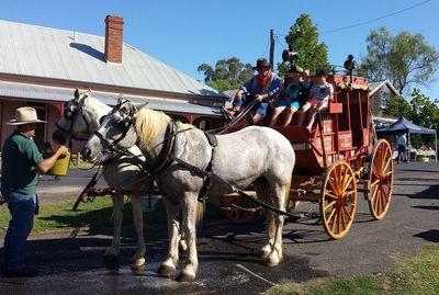 Horse cart