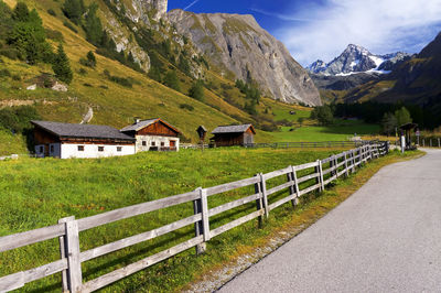 Houses in the field