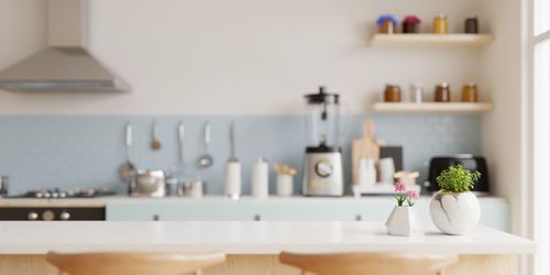 Potted plant on table