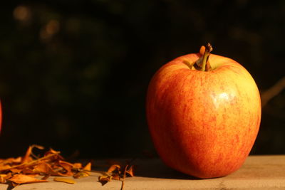 Close-up of fruit