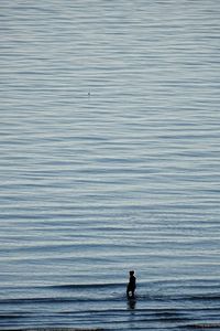 High angle view of man on beach