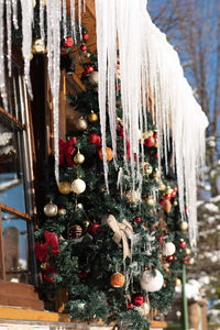Illuminated christmas tree in winter
