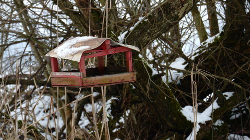 Close-up of birdhouse on snow covered land