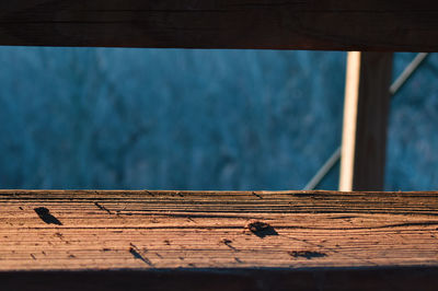 Close-up of lizard on wood against sky