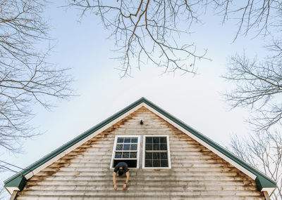 Low angle view of tree and building against sky