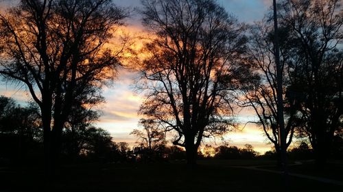 Silhouette trees against sky during sunset