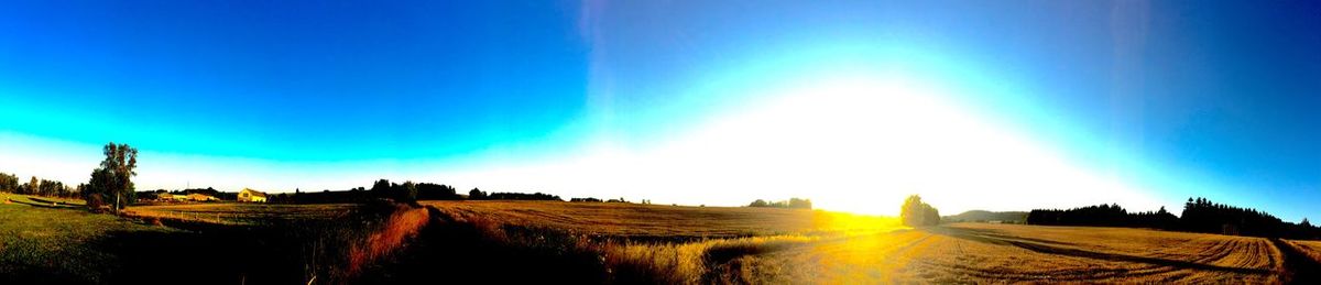 Scenic view of landscape against blue sky