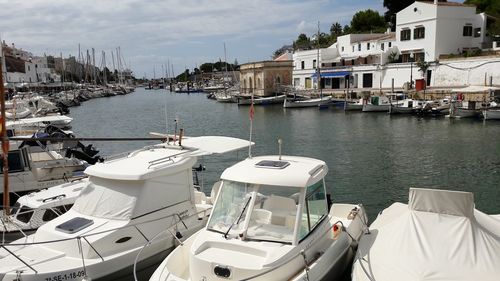 Sailboats moored in harbor