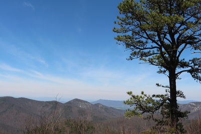 Scenic view of tree mountains against blue sky