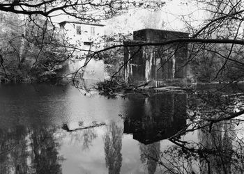 Reflection of bare trees in river