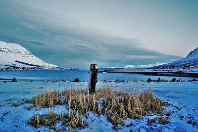 Scenic view of snow covered landscape