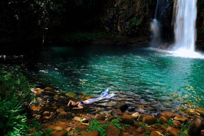 Scenic view of waterfall in forest