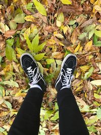 Low section of woman standing on autumn leaves