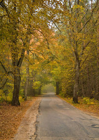 Road amidst trees during autumn