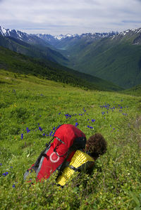 Rear view of hiker sitting on field at mountain