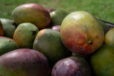 Close-up of apples for sale in market