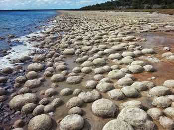 Scenic view of beach