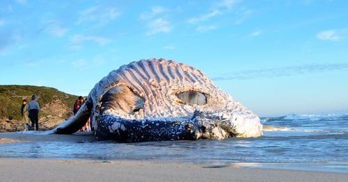 People on beach against sky