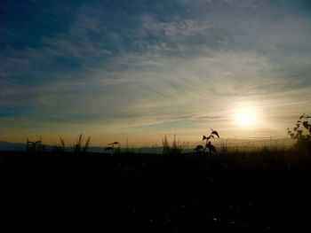 Scenic view of field against sky at sunset