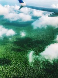 Aerial view of agricultural landscape