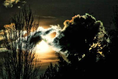 Low angle view of silhouette trees against sky at sunset