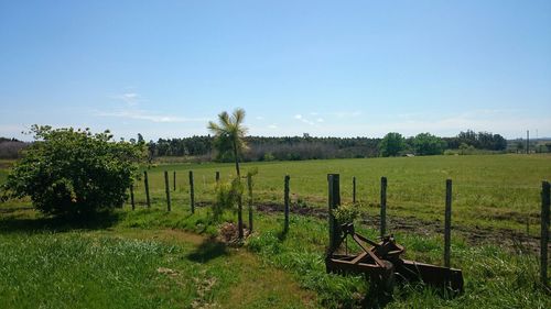 Scenic view of grassy field against sky