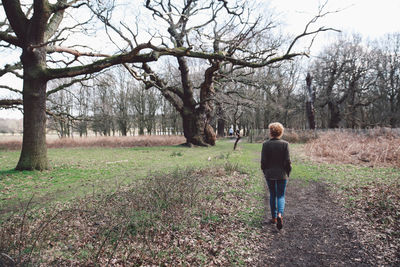 Rear view of woman walking on field against bare trees at richmond park