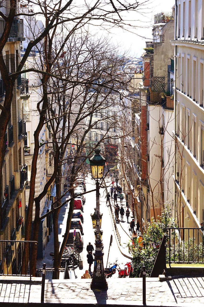 BARE TREES BY STREET AGAINST BUILDINGS