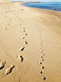 High angle view of footprints on sand at beach