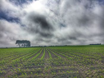 Scenic view of grassy field against cloudy sky