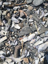 High angle view of stones on shore